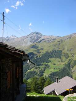 IMG_4447.JPG